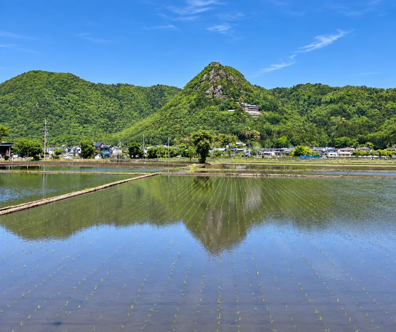 水田に映る赤神山と太郎坊宮